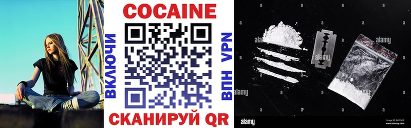 где продают   Суджа  Кокаин Fish Scale 