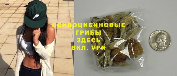 МДМА Новодвинск