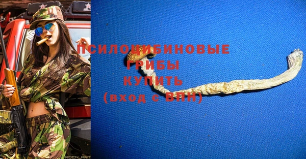 мескалин Новозыбков