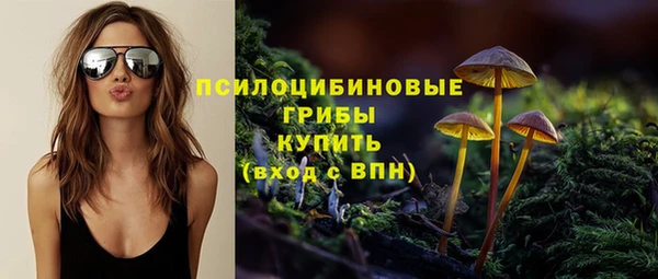 МДМА Новодвинск