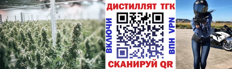 ТГК THC oil  Суджа 